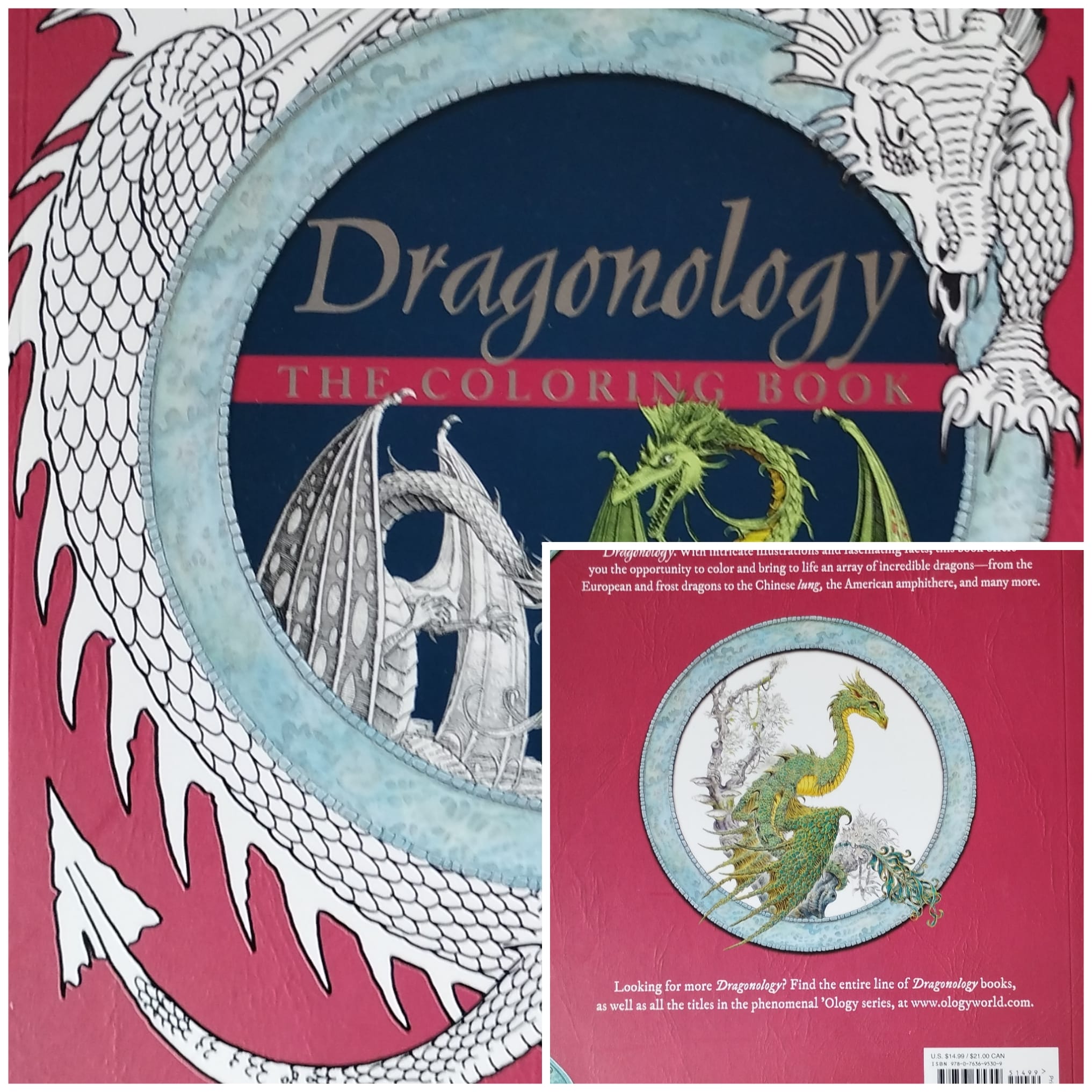 Dragonology Coloring Book Candlewick Press