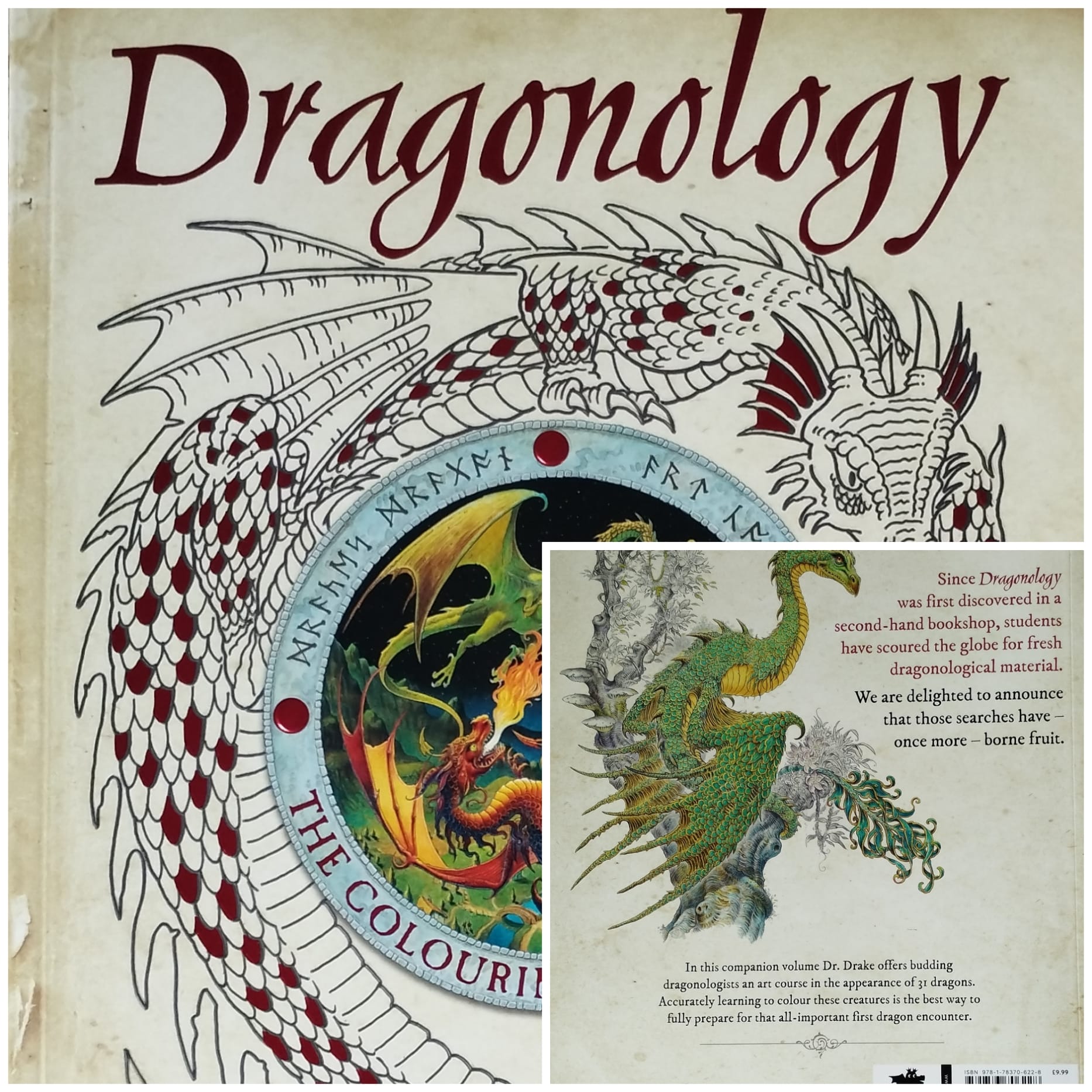 Dragonology Colouring Companion Templar Publishing