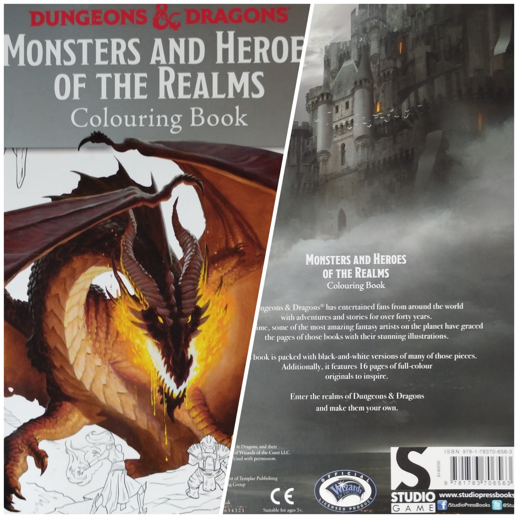 Monsters and Heroes of Realms: A Dungeons & Dragons Coloring Book Templar Publishing (Imprint: Studio Game)